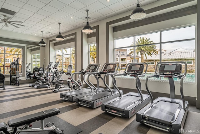 exercise room with carpet and a paneled ceiling