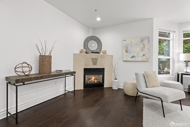 living area featuring dark hardwood / wood-style floors and a premium fireplace