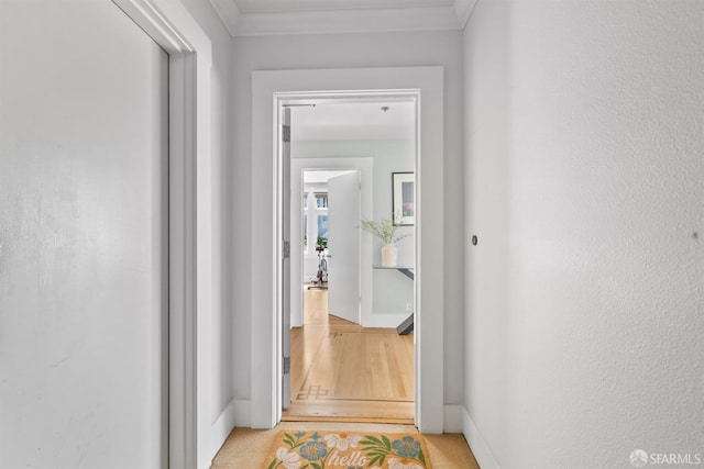 2195 Green St Unit 2, San Francisco, CA 94123 - hall with crown molding and baseboards