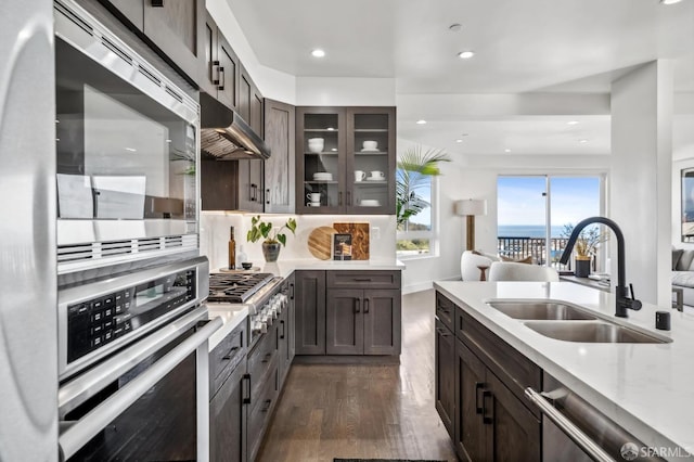 kitchen featuring dark wood-type flooring, a sink, ventilation hood, appliances with stainless steel finishes, and glass insert cabinets