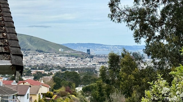 mountain view