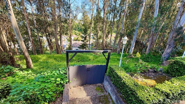 view of community featuring a gate