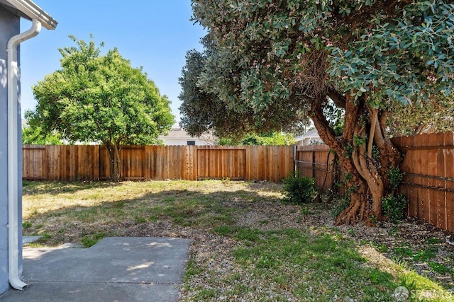 779 E Lewelling Blvd, Hayward, CA 94541 - photo 24