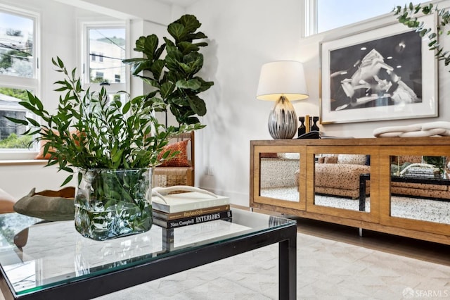 living area featuring wood finished floors