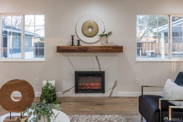 sitting room featuring hardwood / wood-style flooring and plenty of natural light