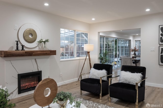 living area with light hardwood / wood-style floors and a premium fireplace