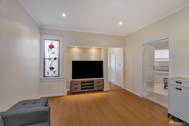 living room featuring crown molding and light wood-type flooring