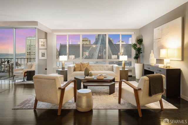 living room with dark hardwood / wood-style flooring and a water view