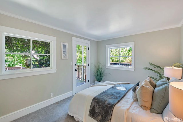 30 Eagle St, San Francisco, CA 94114 - bedroom featuring access to exterior, carpet floors, and crown molding