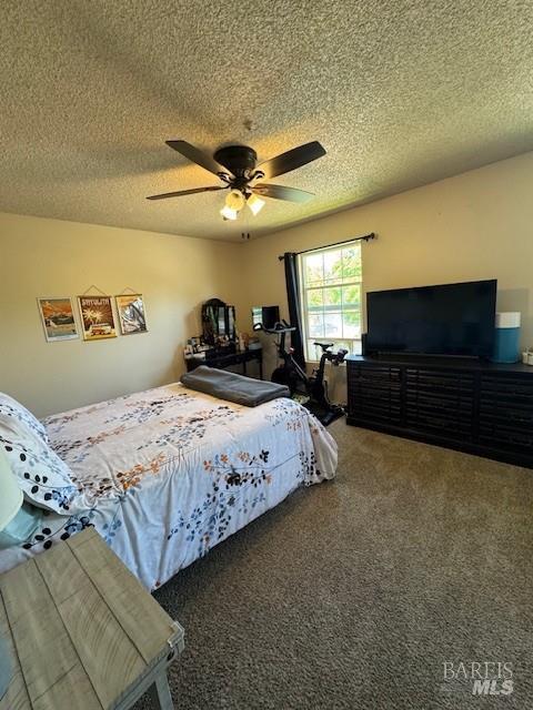 5023 Algiers Ave, Santa Rosa, CA 95409 - photo 7