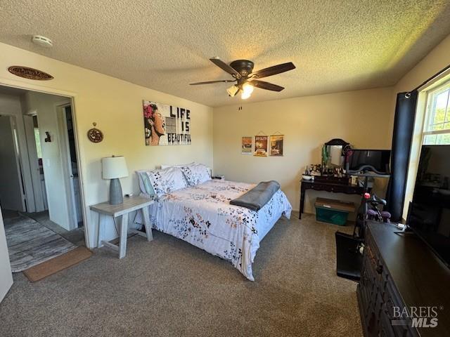 5023 Algiers Ave, Santa Rosa, CA 95409 - photo 8