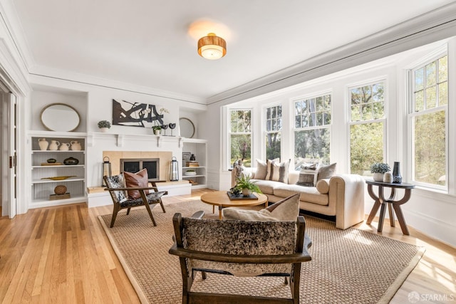 276 Funston Ave, San Francisco, CA 94118 - living room featuring light wood-style floors, ornamental molding, and a fireplace