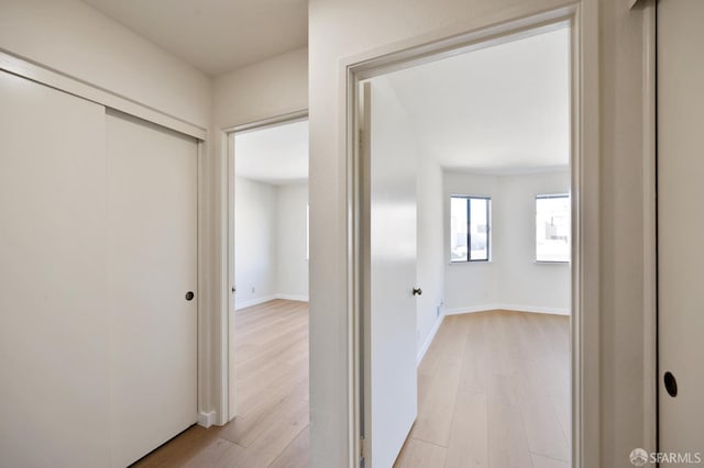 hall featuring light hardwood / wood-style flooring