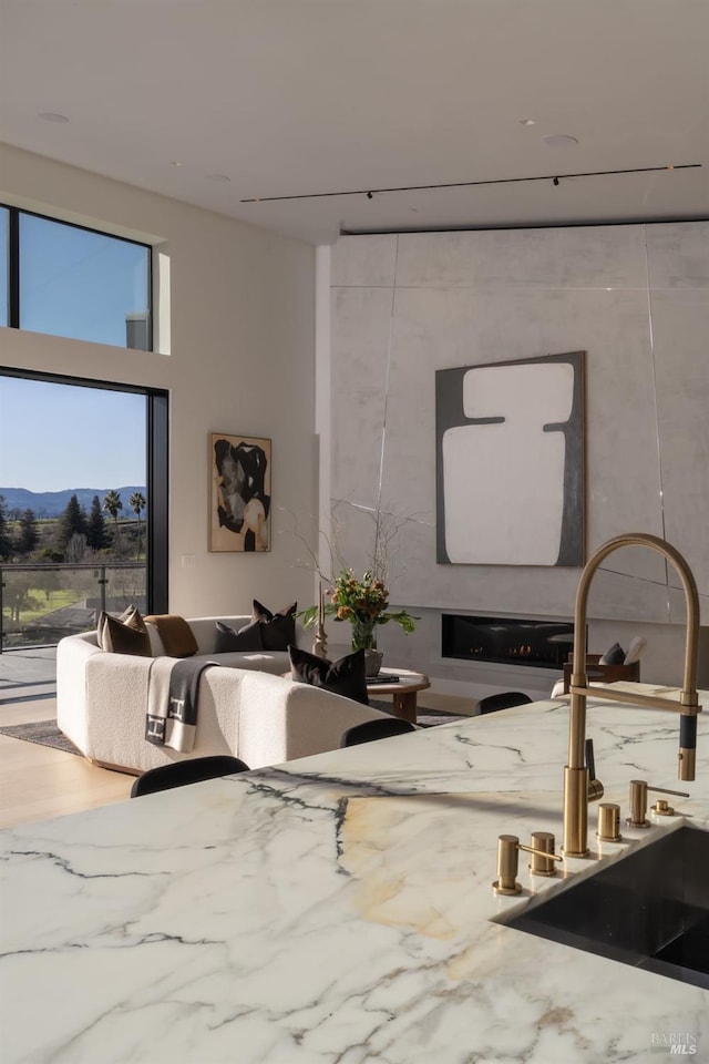 living area featuring a mountain view and a towering ceiling