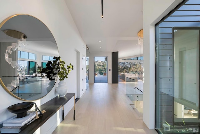 hall featuring a healthy amount of sunlight, light wood finished floors, and arched walkways