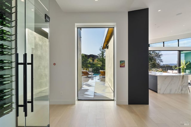 entryway featuring light wood-style flooring, baseboards, and a wealth of natural light