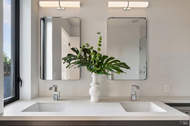 details featuring double vanity, backsplash, and a sink