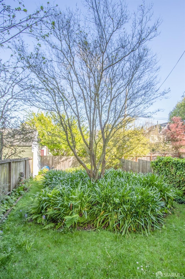 view of yard featuring fence