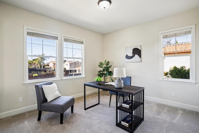 office space featuring light colored carpet