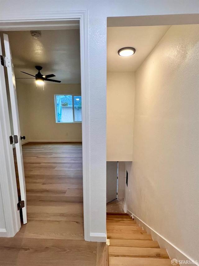 942 41st St, Oakland, CA 94608 - photo 8
