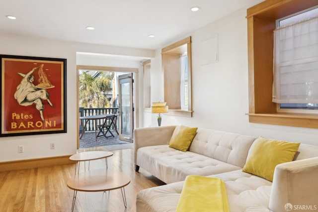 living room featuring wood-type flooring