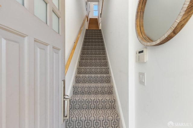 stairway with carpet