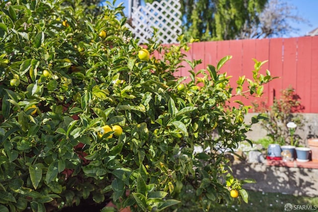 exterior details featuring fence