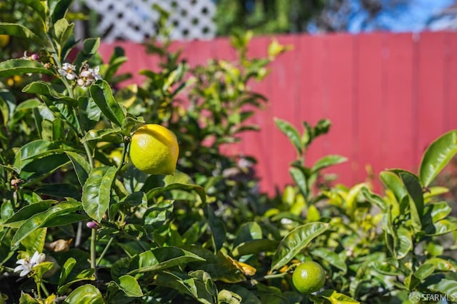 details with fence