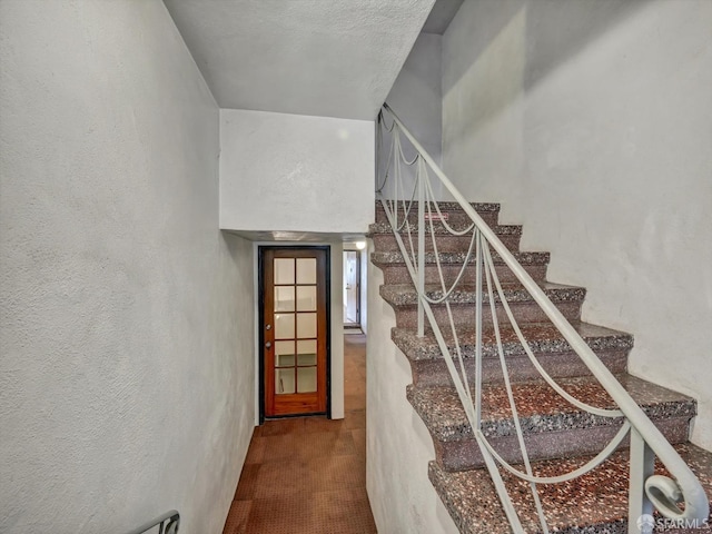 staircase with carpet floors