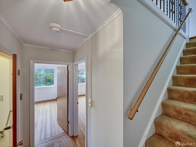 stairway with hardwood / wood-style floors and ornamental molding