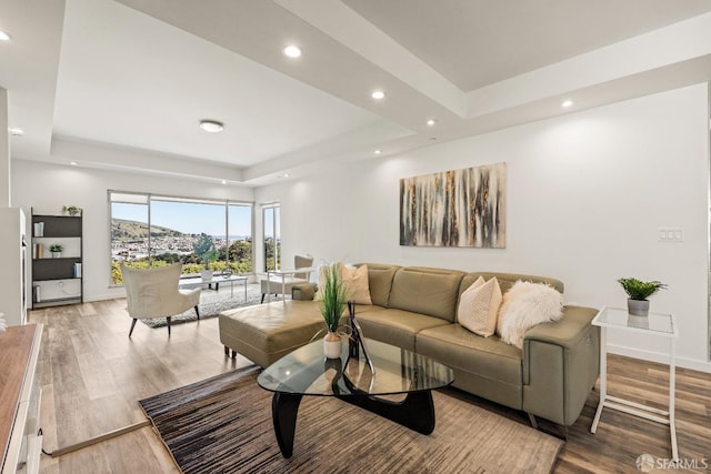 living area with a raised ceiling, baseboards, and wood finished floors