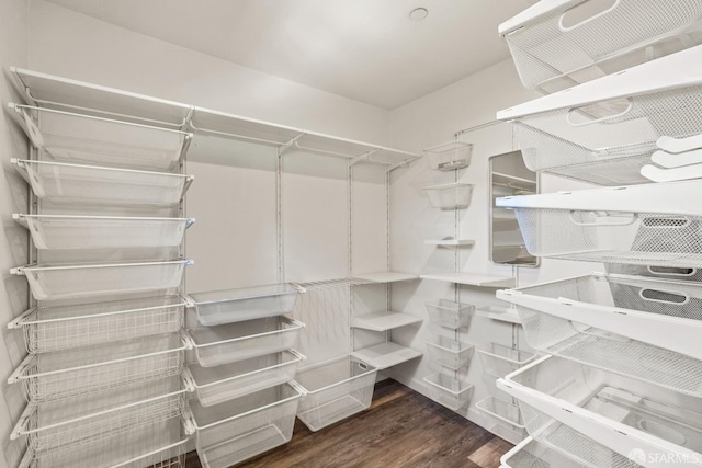 spacious closet with wood finished floors