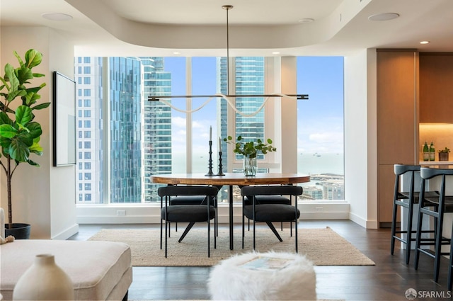 dining room featuring dark wood-type flooring, a wealth of natural light, and a water view