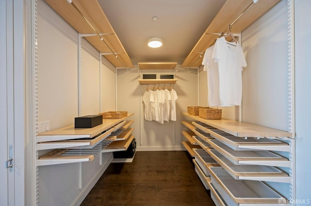 spacious closet featuring dark wood-type flooring