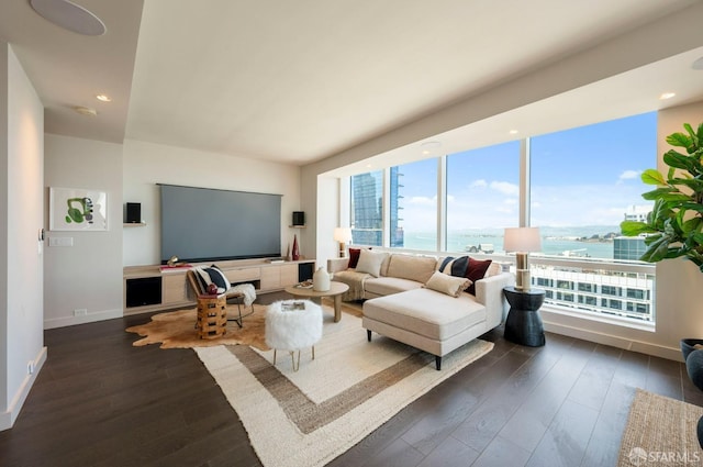 living room with dark hardwood / wood-style flooring