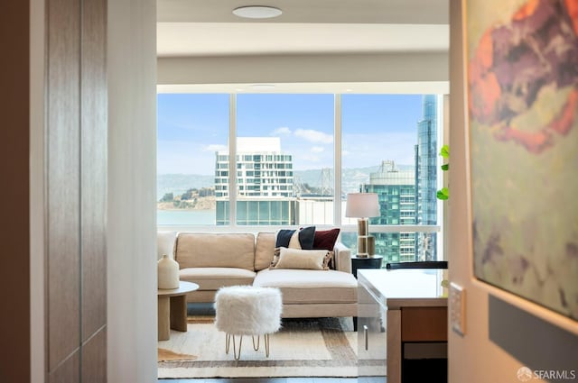 living area with plenty of natural light