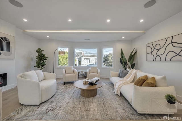 living room with wood-type flooring