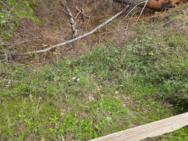 9860 Whiskey Slide Rd, Mountain Ranch, CA 95246