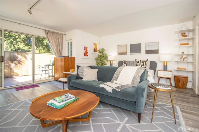 living room featuring rail lighting and hardwood / wood-style flooring