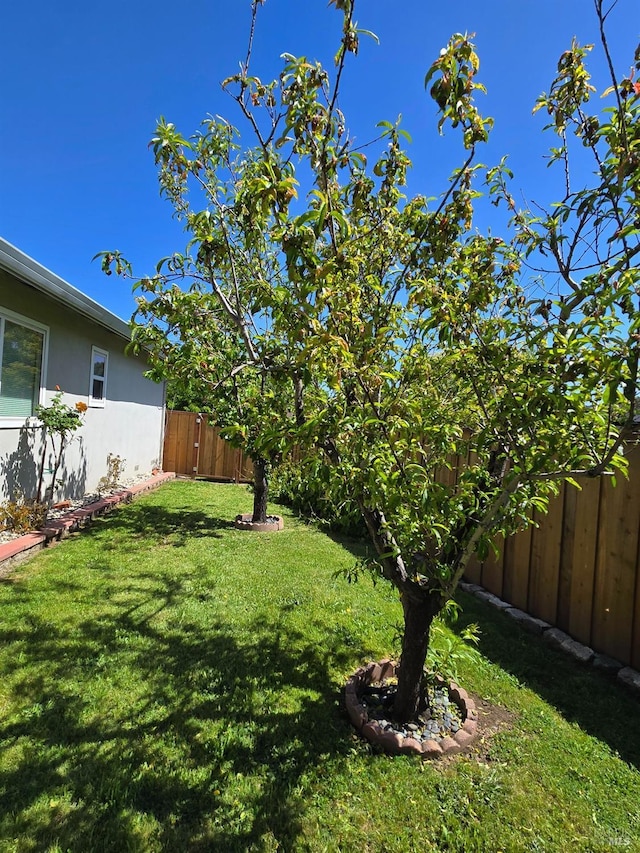 view of yard with a fenced backyard