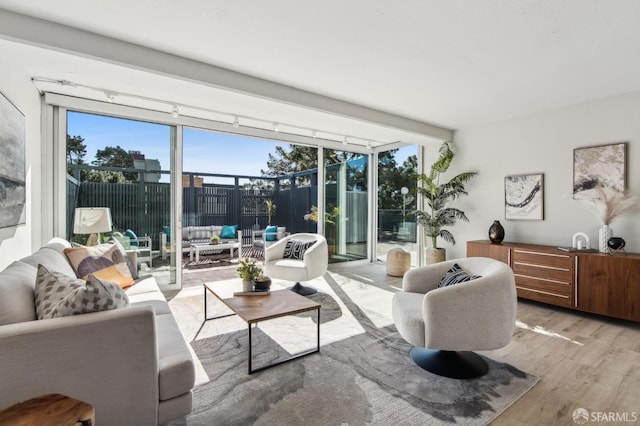 living room featuring expansive windows and light wood-type flooring