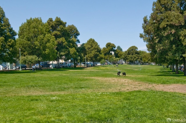 view of community featuring a yard