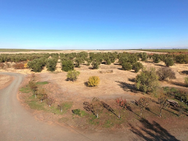 birds eye view of property with a rural view