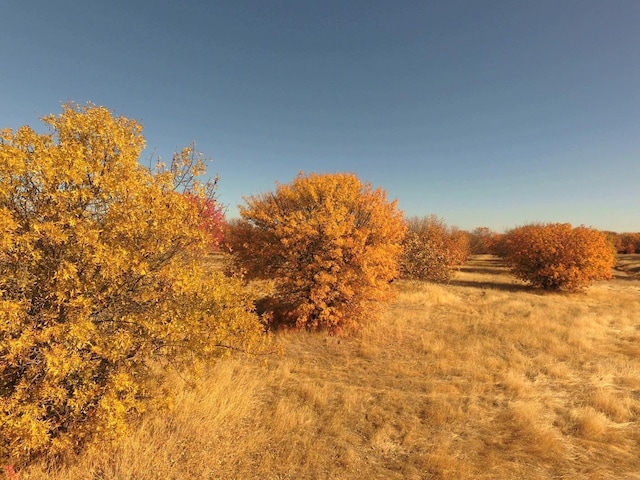 view of landscape with a rural view