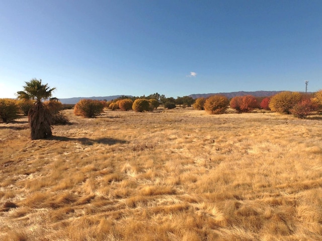 view of local wilderness featuring a rural view