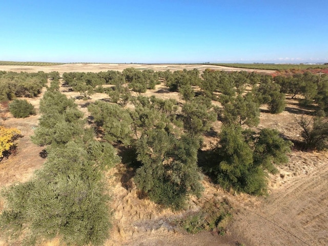 aerial view featuring a rural view