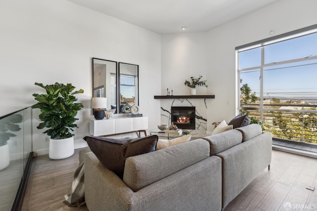 608 Missouri St Unit A, San Francisco, CA 94107 - living area featuring wood finished floors and a fireplace