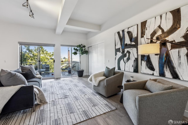 608 Missouri St Unit A, San Francisco, CA 94107 - living room featuring beamed ceiling, wood finished floors, track lighting, and coffered ceiling