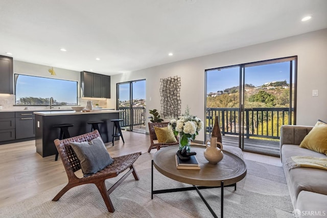 living room with a wealth of natural light and light hardwood / wood-style flooring