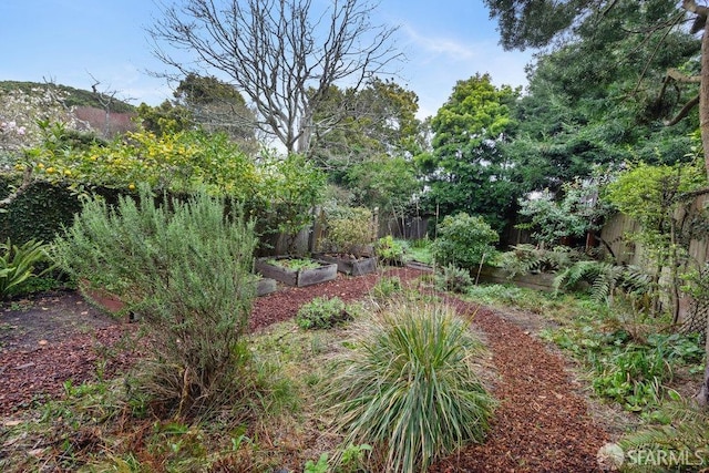 view of yard with a fenced backyard and a vegetable garden